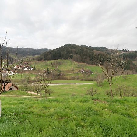 黑林山区奥滕赫芬Haus Am Schroffen公寓 外观 照片