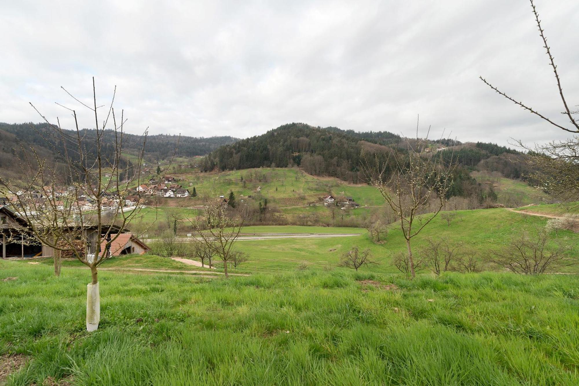 黑林山区奥滕赫芬Haus Am Schroffen公寓 外观 照片